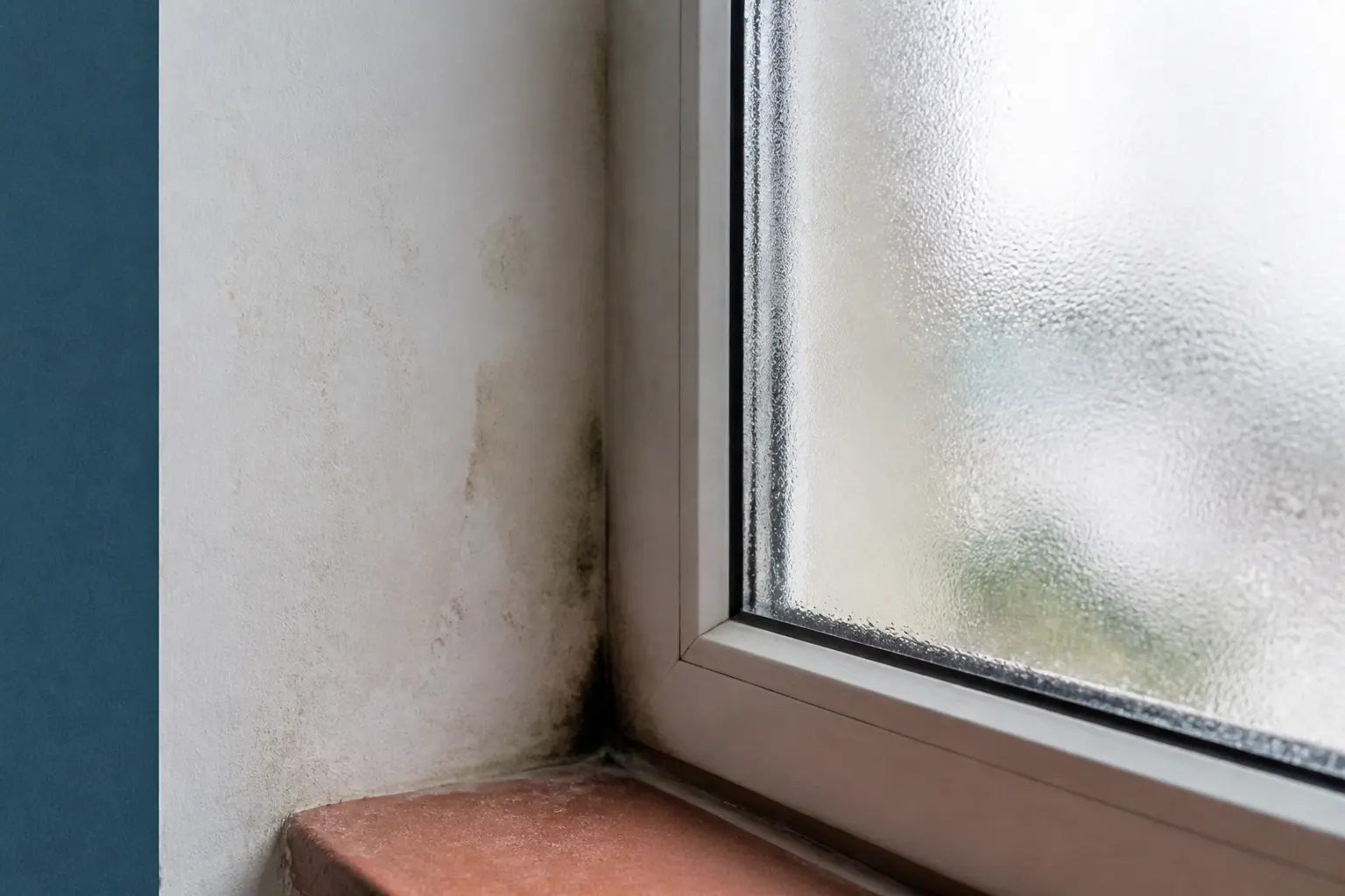Aération fenêtre sans percer : coin de fenêtre humide avec condensation, moisissure et traces d’humidité.